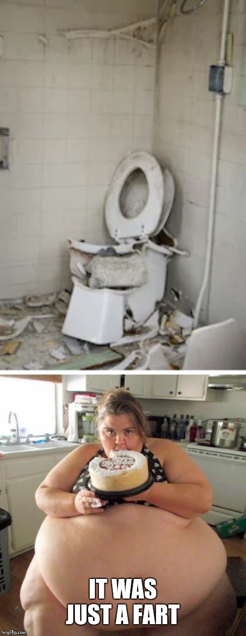 THAT POOR TOILET | IT WAS JUST A FART | image tagged in fat woman,fart jokes | made w/ Imgflip meme maker