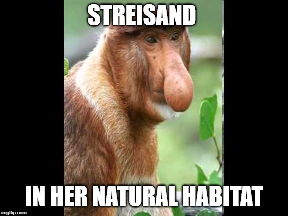 STREISAND IN HER NATURAL HABITAT | made w/ Imgflip meme maker