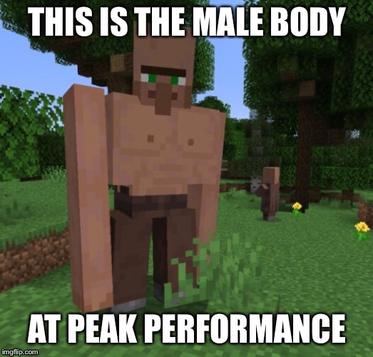 THIS IS THE MALE BODY; AT PEAK PERFORMANCE | image tagged in gaming,minecraft | made w/ Imgflip meme maker