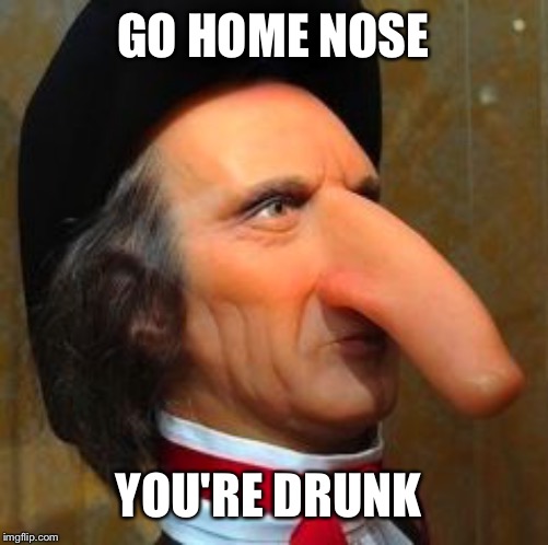 GO HOME NOSE YOU'RE DRUNK | made w/ Imgflip meme maker