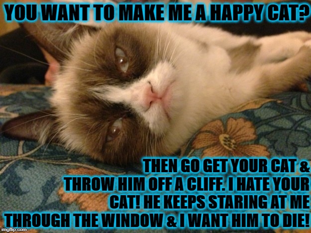 A HAPPY CAT | YOU WANT TO MAKE ME A HAPPY CAT? THEN GO GET YOUR CAT & THROW HIM OFF A CLIFF. I HATE YOUR CAT! HE KEEPS STARING AT ME THROUGH THE WINDOW & I WANT HIM TO DIE! | image tagged in a happy cat | made w/ Imgflip meme maker