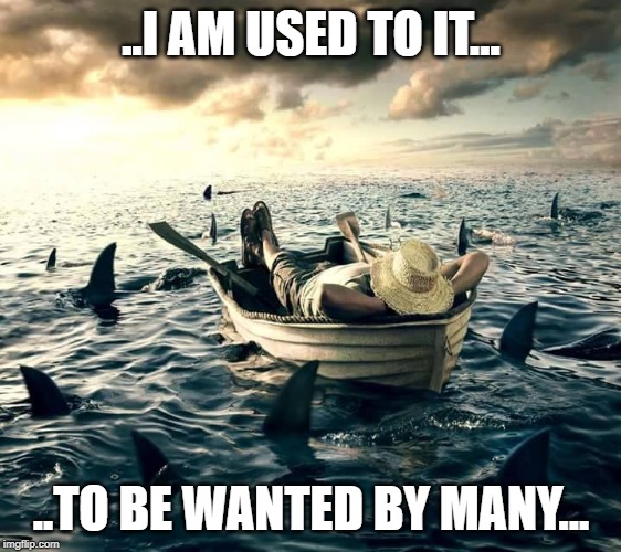 Man Shark Boat Relaxed | ..I AM USED TO IT... ..TO BE WANTED BY MANY... | image tagged in man shark boat relaxed | made w/ Imgflip meme maker