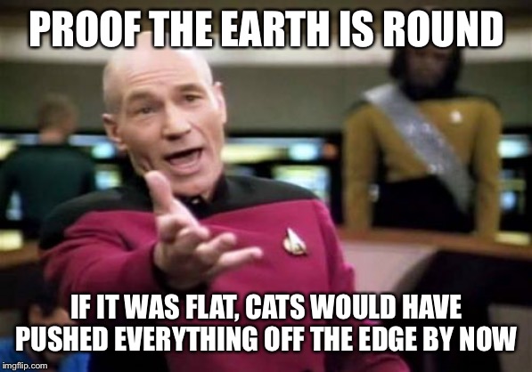 Picard Wtf Meme | PROOF THE EARTH IS ROUND IF IT WAS FLAT, CATS WOULD HAVE PUSHED EVERYTHING OFF THE EDGE BY NOW | image tagged in memes,picard wtf | made w/ Imgflip meme maker