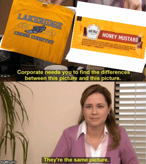 They're The Same Picture | image tagged in office same picture | made w/ Imgflip meme maker