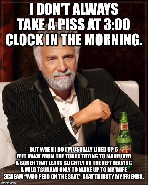 The Most Interesting Man In The World | I DON'T ALWAYS TAKE A PISS AT 3:00 CLOCK IN THE MORNING. BUT WHEN I DO I’M USUALLY LINED UP 6 FEET AWAY FROM THE TOILET TRYING TO MANEUVER A BONER THAT LEANS SLIGHTLY TO THE LEFT LEAVING A MILD TSUNAMI ONLY TO WAKE UP TO MY WIFE SCREAM “WHO PEED ON THE SEAT.” STAY THIRSTY MY FRIENDS. | image tagged in memes,the most interesting man in the world | made w/ Imgflip meme maker