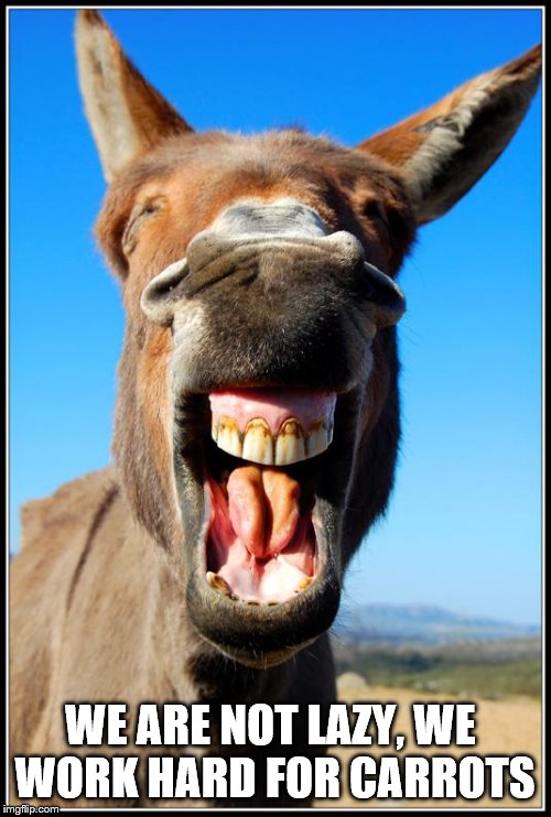 Happy Donkey | WE ARE NOT LAZY, WE 
WORK HARD FOR CARROTS | image tagged in happy donkey | made w/ Imgflip meme maker