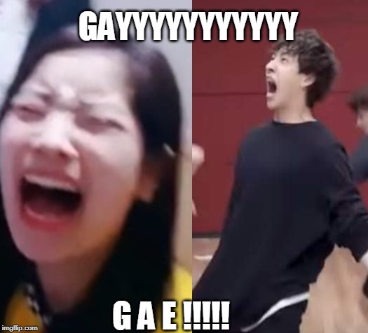 GAYYYYYYYYYYY; G A E !!!!! | image tagged in kpop,kpop fans be like,gay,gae | made w/ Imgflip meme maker