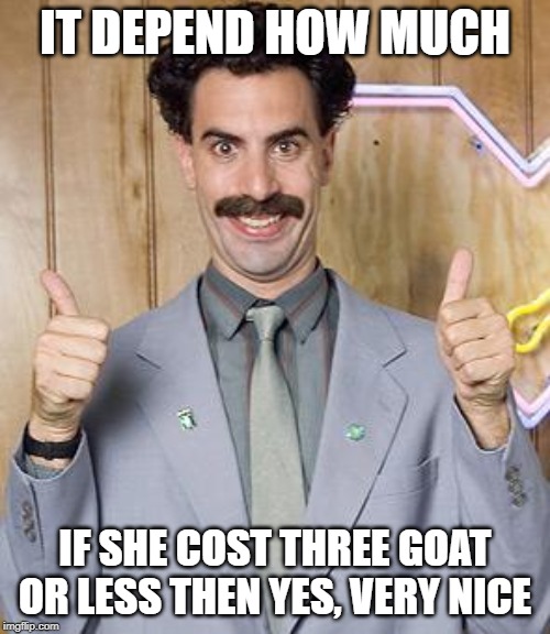 borat | IT DEPEND HOW MUCH; IF SHE COST THREE GOAT OR LESS THEN YES, VERY NICE | image tagged in borat | made w/ Imgflip meme maker