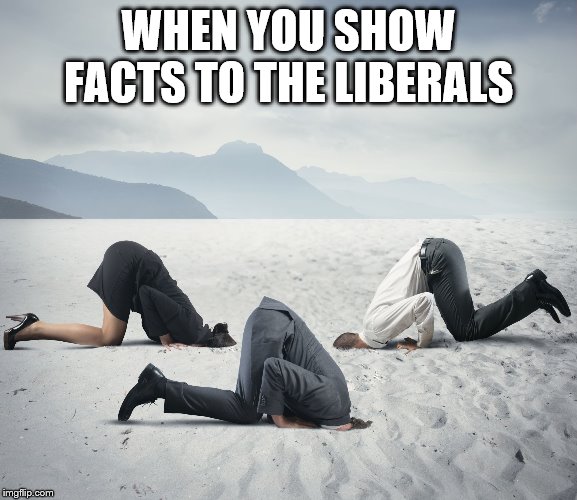 Republican Committee on Climate Change | WHEN YOU SHOW FACTS TO THE LIBERALS | image tagged in republican committee on climate change | made w/ Imgflip meme maker