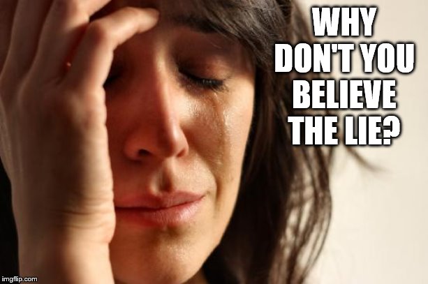 Crying over Global Warming scam | WHY DON'T YOU BELIEVE THE LIE? | image tagged in memes,first world problems | made w/ Imgflip meme maker