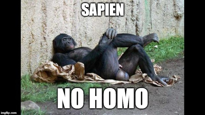 technically true science | SAPIEN; NO HOMO | image tagged in big balls gorilla,bl4h,funny memes,ape humor | made w/ Imgflip meme maker