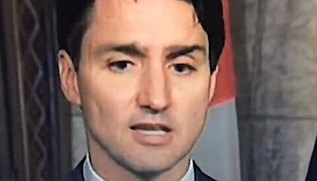 High Quality Trudeau's Eyebrow-Gate Blank Meme Template