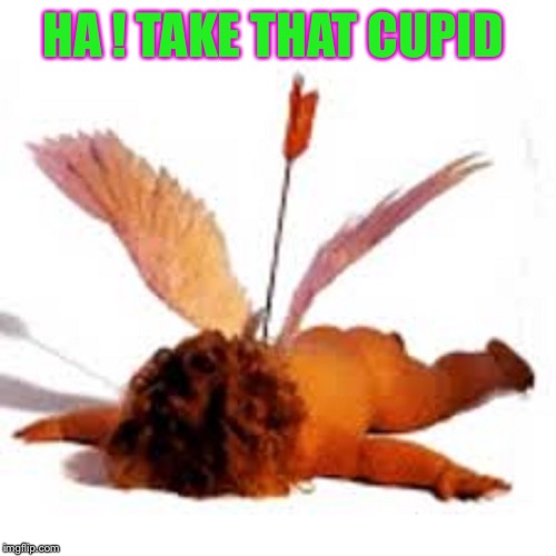 fuck cupid | HA ! TAKE THAT CUPID | image tagged in fuck cupid | made w/ Imgflip meme maker