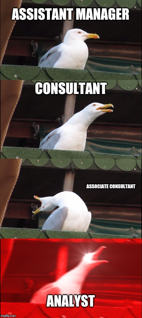 Inhaling Seagull Meme | ASSISTANT MANAGER; CONSULTANT; ASSOCIATE CONSULTANT; ANALYST | image tagged in memes,inhaling seagull | made w/ Imgflip meme maker