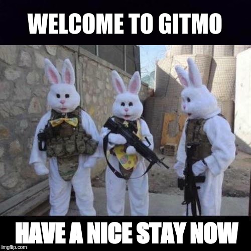 #WTG1TGAWW | WELCOME TO GITMO; HAVE A NICE STAY NOW | image tagged in shitstorm,qanon,gitmo,child abuse,space force,the great awakening | made w/ Imgflip meme maker