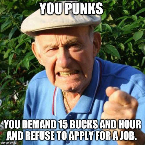 Time to Adult now | YOU PUNKS; YOU DEMAND 15 BUCKS AND HOUR AND REFUSE TO APPLY FOR A JOB. | image tagged in angry old man,adulting,work,do something with your life | made w/ Imgflip meme maker