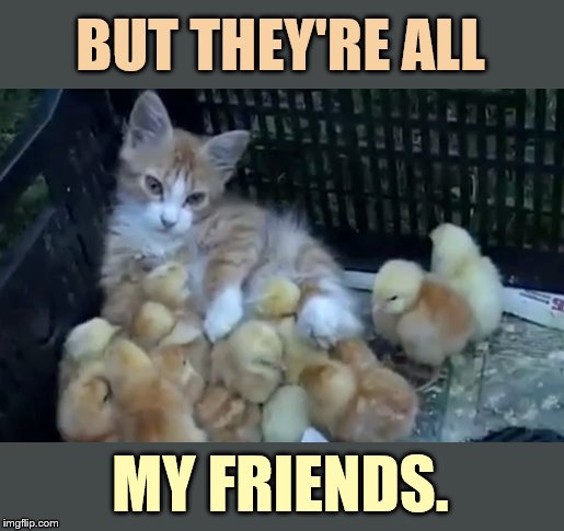 BUT THEY'RE ALL MY FRIENDS. | made w/ Imgflip meme maker