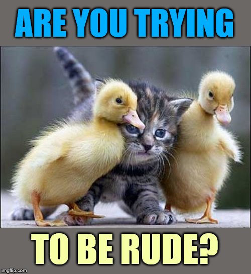 ARE YOU TRYING TO BE RUDE? | made w/ Imgflip meme maker