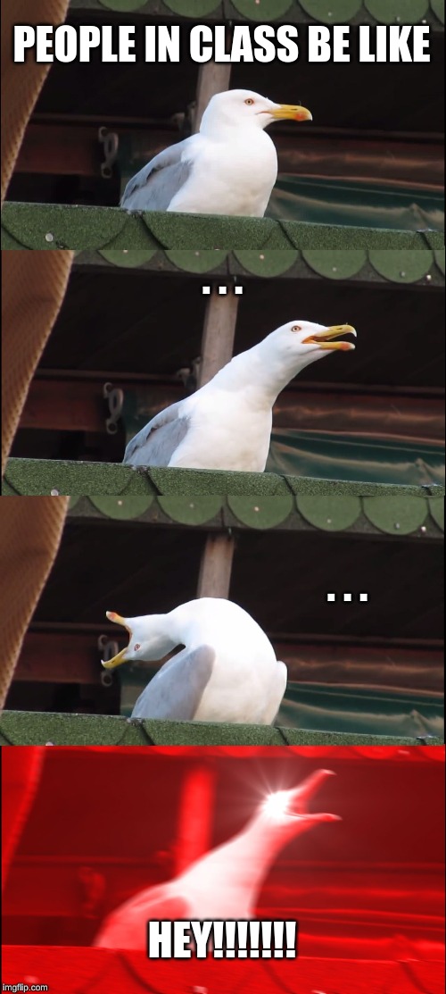 Inhaling Seagull | PEOPLE IN CLASS BE LIKE; . . . . . . HEY!!!!!!! | image tagged in memes,inhaling seagull | made w/ Imgflip meme maker