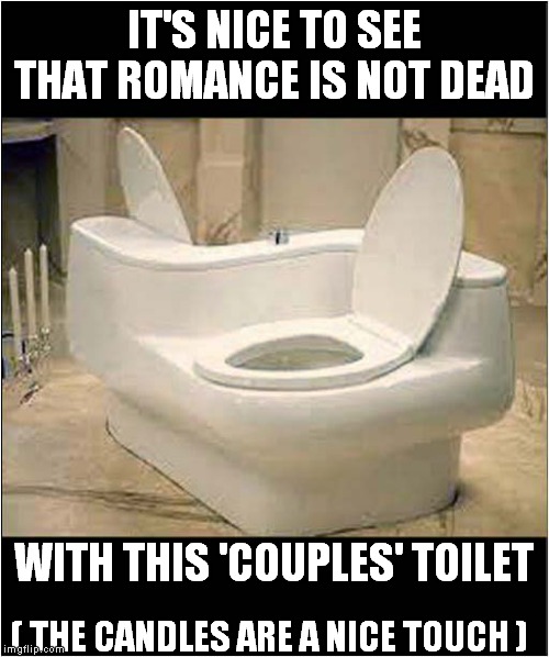 Ahh, The Honeymoon Period | IT'S NICE TO SEE THAT ROMANCE IS NOT DEAD; WITH THIS 'COUPLES' TOILET; ( THE CANDLES ARE A NICE TOUCH ) | image tagged in fun,toilets,romance | made w/ Imgflip meme maker