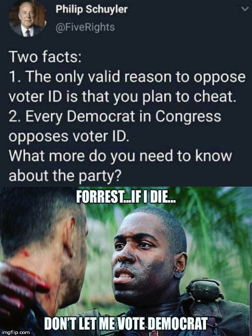 EnoughSaid | image tagged in political,voter fraud | made w/ Imgflip meme maker