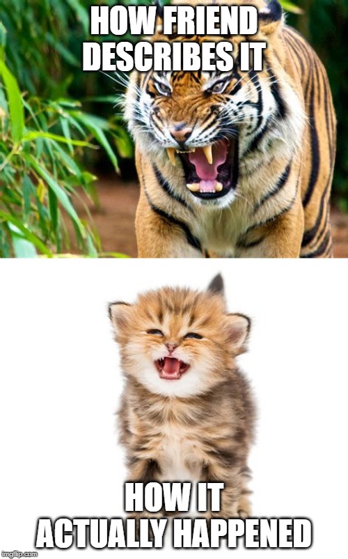 Tiger kitten | HOW FRIEND DESCRIBES IT; HOW IT ACTUALLY HAPPENED | image tagged in tiger kitten | made w/ Imgflip meme maker