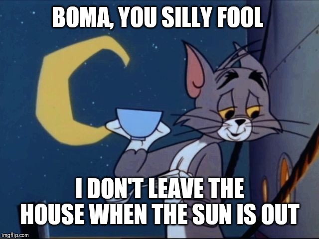 BOMA, YOU SILLY FOOL I DON'T LEAVE THE HOUSE WHEN THE SUN IS OUT | made w/ Imgflip meme maker