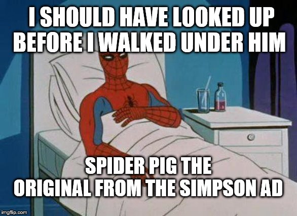Spiderman Hospital Meme | I SHOULD HAVE LOOKED UP BEFORE I WALKED UNDER HIM; SPIDER PIG THE ORIGINAL FROM THE SIMPSON AD | image tagged in memes,spiderman hospital,spiderman | made w/ Imgflip meme maker