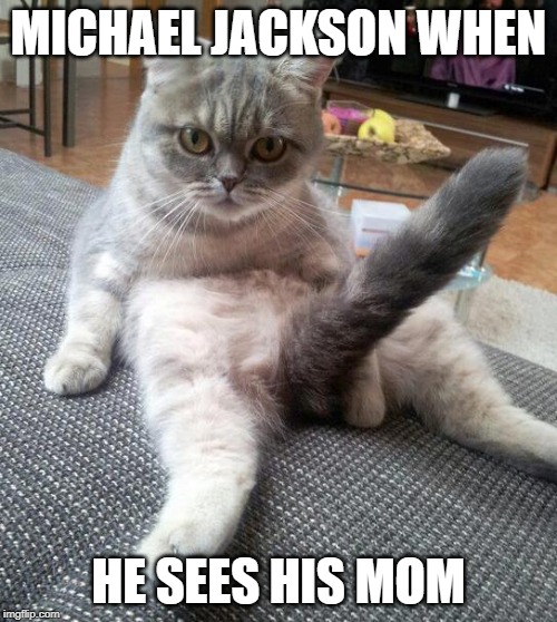 Sexy Cat | MICHAEL JACKSON WHEN; HE SEES HIS MOM | image tagged in memes,sexy cat | made w/ Imgflip meme maker