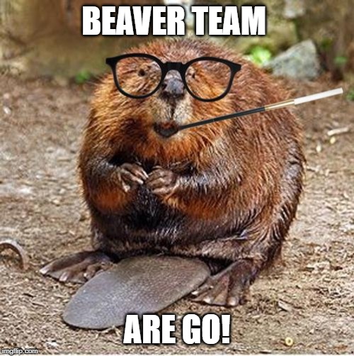 Pretentious Beaver | BEAVER TEAM; ARE GO! | image tagged in pretentious beaver | made w/ Imgflip meme maker