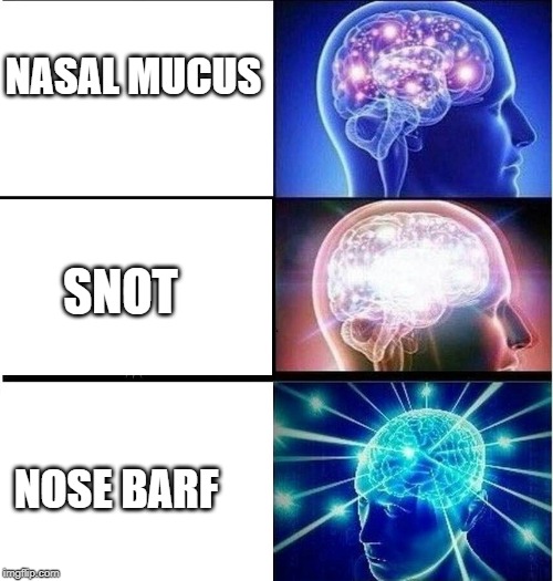 Expanding brain 3 panels | NASAL MUCUS; SNOT; NOSE BARF | image tagged in expanding brain 3 panels,barf,sneezing,nose,funny memes,expanding brain | made w/ Imgflip meme maker