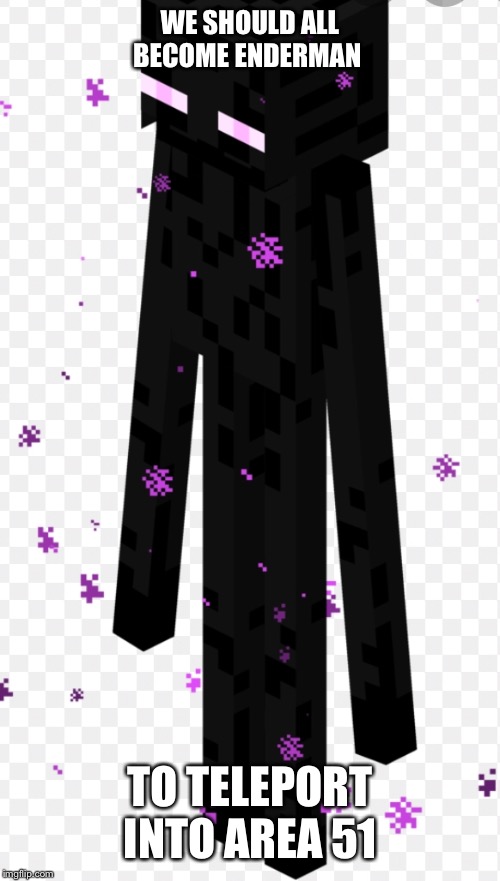 WE SHOULD ALL BECOME ENDERMAN; TO TELEPORT INTO AREA 51 | image tagged in enderman,storm area 51 | made w/ Imgflip meme maker