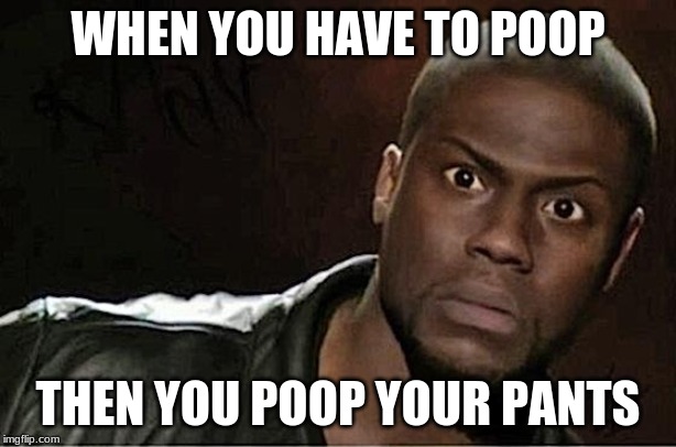 poop face | WHEN YOU HAVE TO POOP; THEN YOU POOP YOUR PANTS | image tagged in memes | made w/ Imgflip meme maker