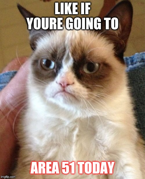 Grumpy Cat | LIKE IF YOURE GOING TO; AREA 51 TODAY | image tagged in memes,grumpy cat | made w/ Imgflip meme maker