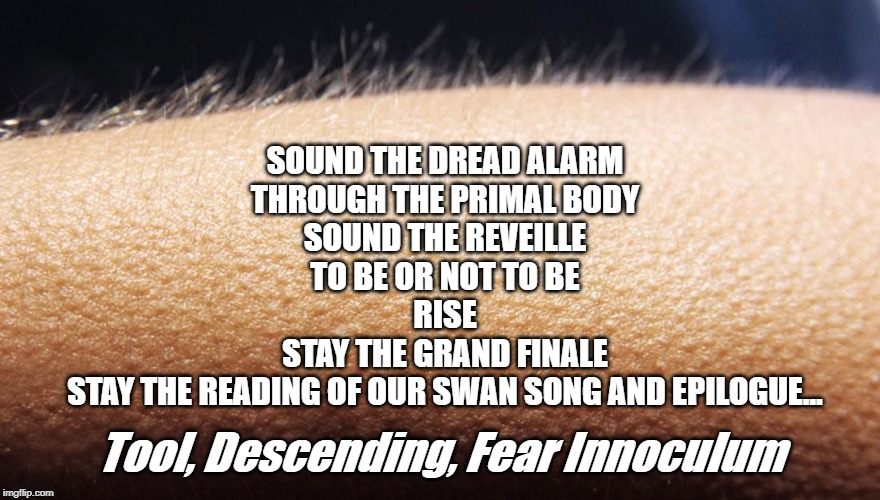 Chills | SOUND THE DREAD ALARM
THROUGH THE PRIMAL BODY
SOUND THE REVEILLE
TO BE OR NOT TO BE
RISE
STAY THE GRAND FINALE
STAY THE READING OF OUR SWAN SONG AND EPILOGUE... Tool, Descending, Fear Innoculum | image tagged in tool,fear,music | made w/ Imgflip meme maker