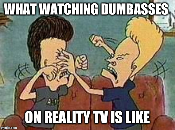 beavis butthead fighting | WHAT WATCHING DUMBASSES; ON REALITY TV IS LIKE | image tagged in beavis butthead fighting | made w/ Imgflip meme maker