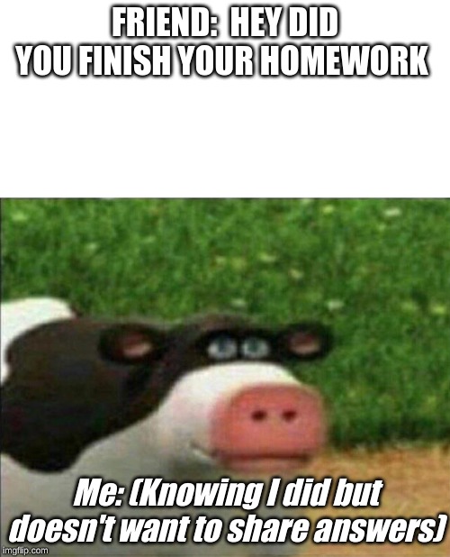 Perhaps cow | FRIEND:  HEY DID YOU FINISH YOUR HOMEWORK; Me: (Knowing I did but doesn't want to share answers) | image tagged in perhaps cow | made w/ Imgflip meme maker