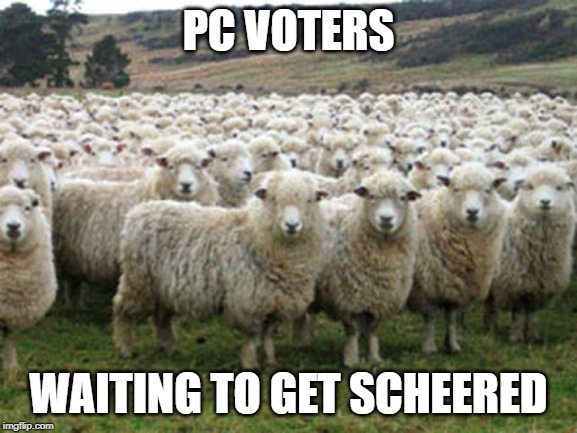 Democrats are Sheep | PC VOTERS; WAITING TO GET SCHEERED | image tagged in democrats are sheep | made w/ Imgflip meme maker