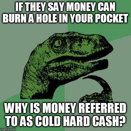 Philosoraptor Meme | IF THEY SAY MONEY CAN BURN A HOLE IN YOUR POCKET; WHY IS MONEY REFERRED TO AS COLD HARD CASH? | image tagged in memes,philosoraptor,money,sayings | made w/ Imgflip meme maker