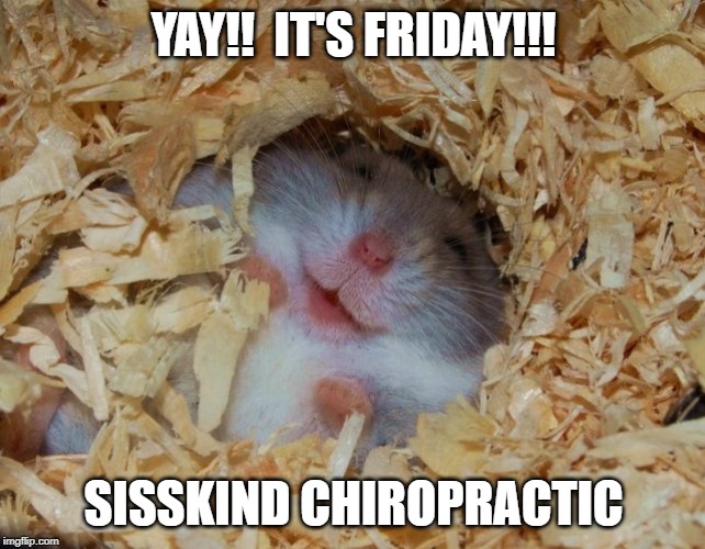 Yay it's friday | YAY!!  IT'S FRIDAY!!! SISSKIND CHIROPRACTIC | image tagged in yay it's friday | made w/ Imgflip meme maker