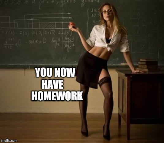 Sexy teacher | YOU NOW                          
HAVE                             
HOMEWORK | image tagged in sexy teacher | made w/ Imgflip meme maker