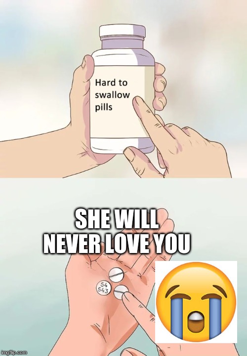 Hard To Swallow Pills Meme | SHE WILL NEVER LOVE YOU | image tagged in memes,hard to swallow pills | made w/ Imgflip meme maker