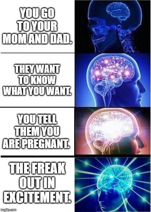 Expanding Brain | YOU GO TO YOUR MOM AND DAD. THEY WANT TO KNOW WHAT YOU WANT. YOU TELL THEM YOU ARE PREGNANT. THE FREAK OUT IN EXCITEMENT. | image tagged in memes,expanding brain | made w/ Imgflip meme maker