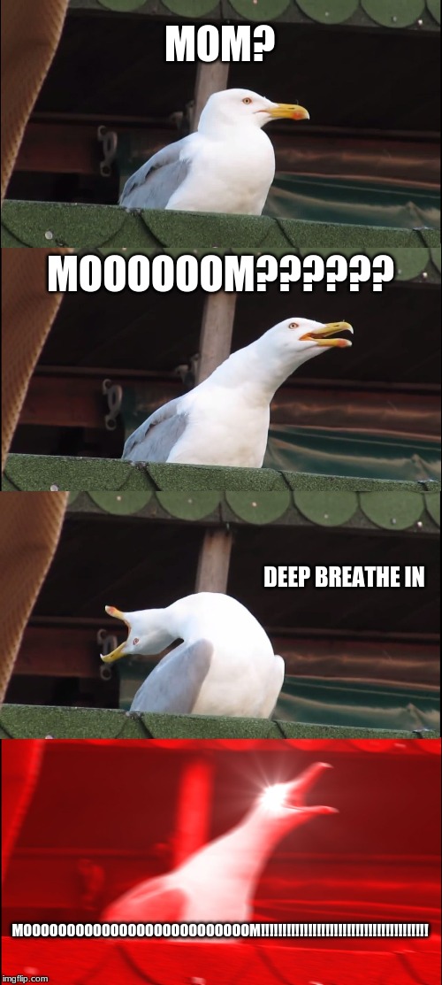 Inhaling Seagull Meme | MOM? MOOOOOOM?????? DEEP BREATHE IN; MOOOOOOOOOOOOOOOOOOOOOOOOOOM!!!!!!!!!!!!!!!!!!!!!!!!!!!!!!!!!!!!!!! | image tagged in memes,inhaling seagull | made w/ Imgflip meme maker