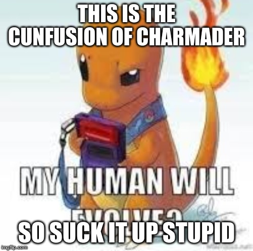 d | THIS IS THE CUNFUSION OF CHARMADER; SO SUCK IT UP STUPID | image tagged in bad luck brian | made w/ Imgflip meme maker