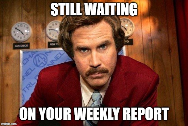 Reportero | STILL WAITING; ON YOUR WEEKLY REPORT | image tagged in reportero | made w/ Imgflip meme maker