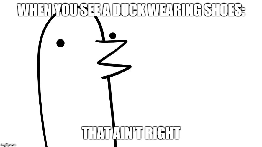 Suprized Bird | WHEN YOU SEE A DUCK WEARING SHOES:; THAT AIN'T RIGHT | image tagged in suprized bird | made w/ Imgflip meme maker