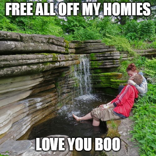 D | FREE ALL OFF MY HOMIES; LOVE YOU BOO | image tagged in d | made w/ Imgflip meme maker