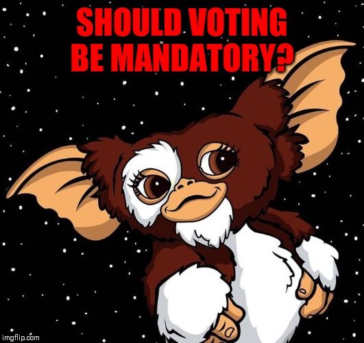 SHOULD VOTING BE MANDATORY? | made w/ Imgflip meme maker