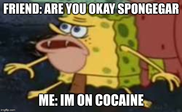 Spongegar | FRIEND: ARE YOU OKAY SPONGEGAR; ME: IM ON COCAINE | image tagged in memes,spongegar | made w/ Imgflip meme maker